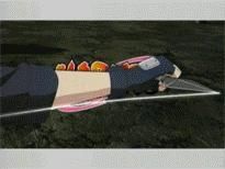 11. angel star album