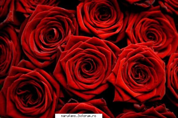 14. angel star album