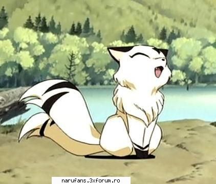 Kirara - "Animalutul"(ca sa zic asa)lui Sango.Imi place - Inuyasha